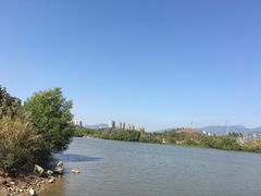 -大亚湾红树林城市湿地公园