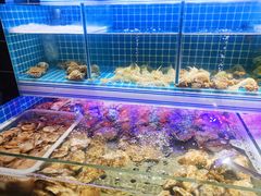 水产区-东厨虾煌(电子街店)