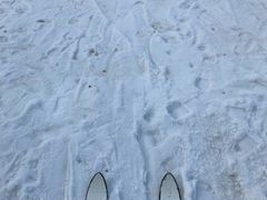 -金象山滑雪场