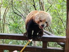 -普洱太阳河森林公园