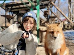 -宫城藏王狐狸村