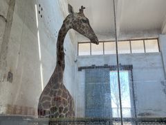 -石家庄市动物园