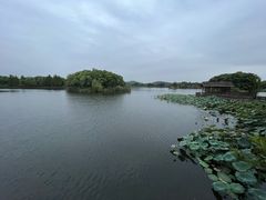 -上海市保健医疗中心