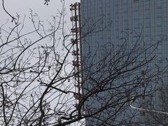-中国人民解放军总医院(301医院)