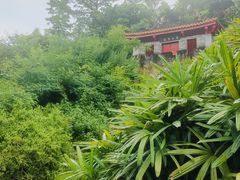 -深圳国际园林花卉博览园