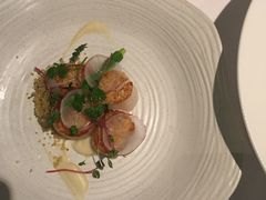 -蝶舍·MAISON PAPILLON