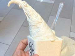 -野人先生现做冰淇淋(北京环宇荟店)