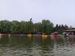 -团结湖公园
