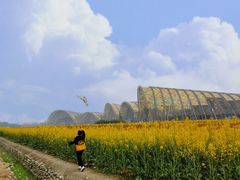 -中国天府农业博览园