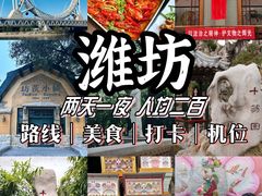 -食鸡公社辣子鸡·潍坊菜·烧烤