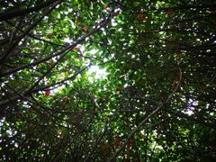 -如皋市龙游湖欢乐世界