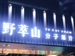 门面-野萃山·潮汕厚果汁(十亩地店)