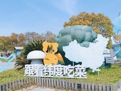 -上海都市菜园