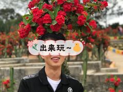 -松山湖梦幻百花洲