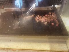 -盛宴自助餐厅(运达喜来登店)