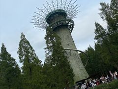 -黄海国家森林公园