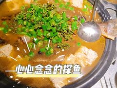 鲜青椒烤鱼-探鱼·鲜青椒爽麻烤鱼(北京路天河城店)