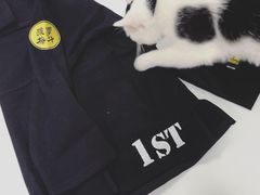 -菠萝格斗巴西柔术训练馆