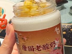 -唐猫庭院·千年陕菜(大唐不夜城店)