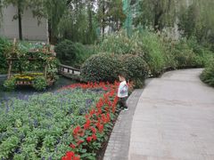 -成飞公园