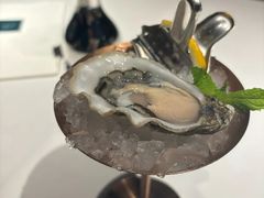 -Oyster Talks 四度蚝法餐厅