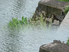 -东钱湖小普陀景区