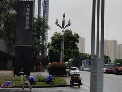 -重庆市江北嘴中央商务区中央公园