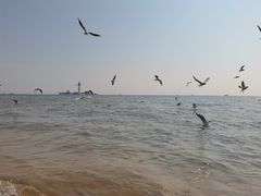 -南戴河旅游度假区