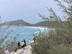 -广东惠东海龟国家级自然保护区