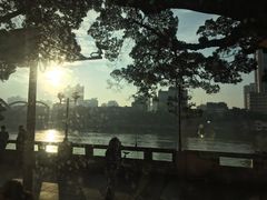 -珠江夜游省总码头