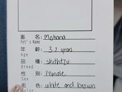 -申普宠物医院·心脏介入·心血管微创(总院)
