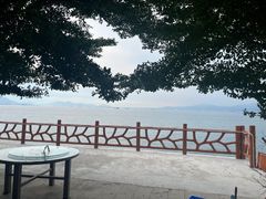-七鲜渔港美食餐厅(巽寮湾海景店)
