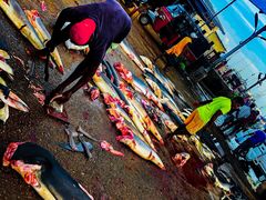 -尼甘布海鲜市场