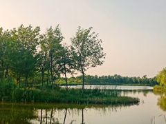 -东郊湿地公园