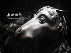 -闵行博物馆