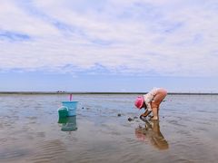 -南汇嘴观海公园