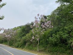 -南京市无想山景区