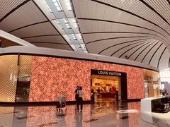 -LV路易威登(大兴国际机场店)
