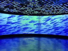-同济大学四平路校区深海探索馆