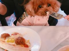 -the rug 飞毯 (朝阳公园店)