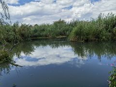 -呈贡滇池生态湿地公园