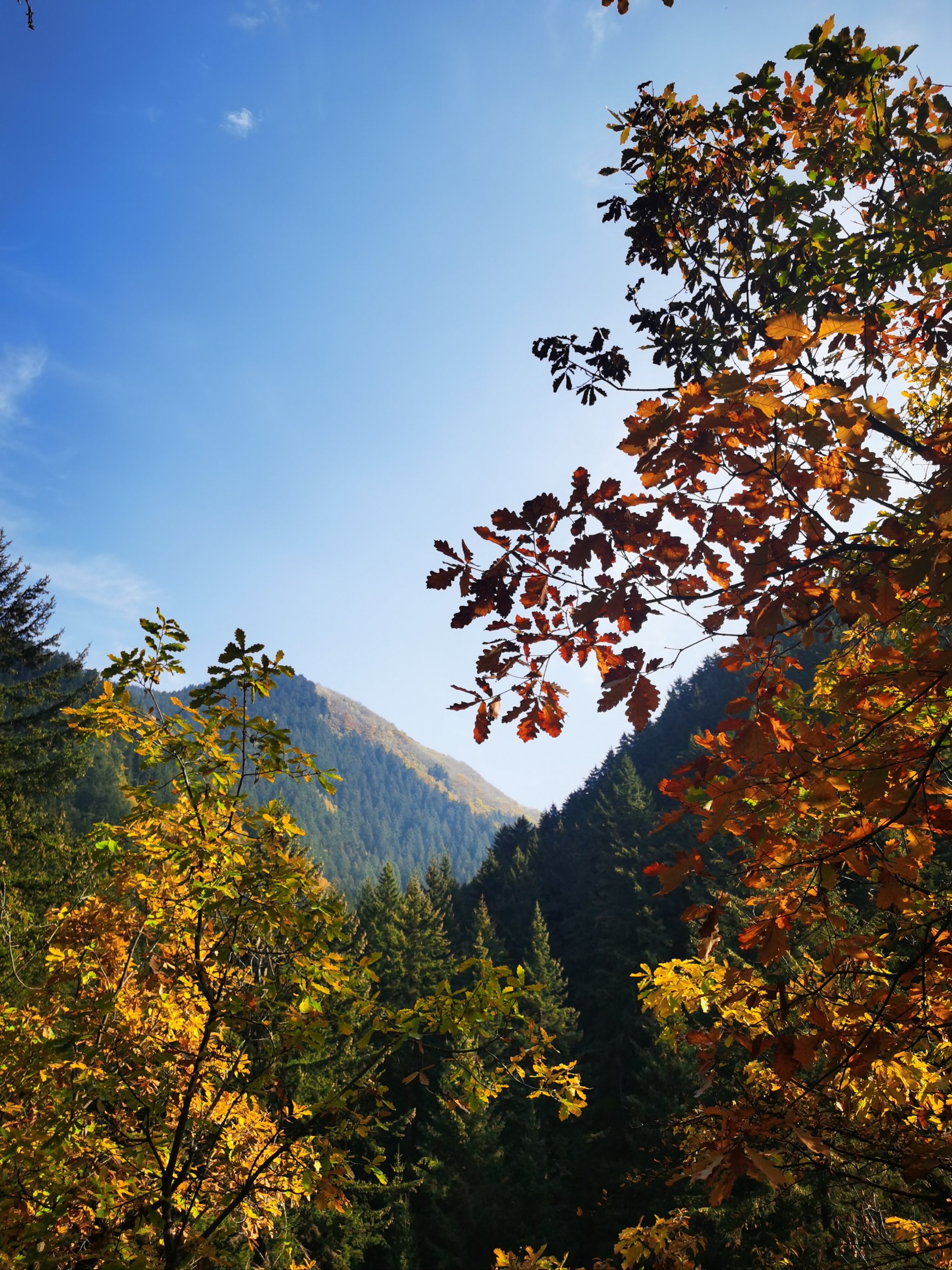 榆中兴隆山景区图片