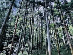 -雁荡山风景名胜区