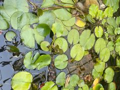 -秋果四合院酒店(北京王府井协和医院店)