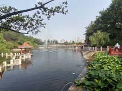 -北岭山森林公园