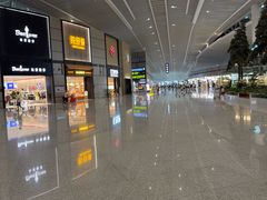 -青岛胶东国际机场