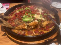 -老板恋上鱼(恒隆广场店)