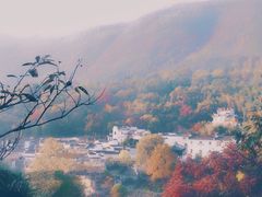 -塔川景区