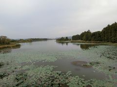 -东湖落雁景区