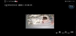 -盈月阁母婴护理中心·月子中心·月嫂育儿嫂